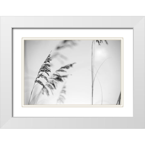 Elegant Vines II  White Modern Wood Framed Art Print with Double Matting by Connolly, Karin