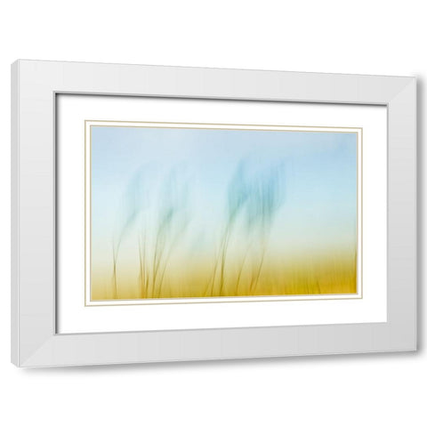 Sunset Air  White Modern Wood Framed Art Print with Double Matting by Connolly, Karin