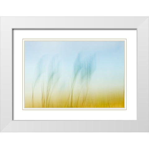 Sunset Air  White Modern Wood Framed Art Print with Double Matting by Connolly, Karin