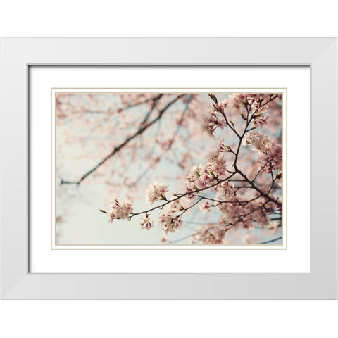One Fine Day White Modern Wood Framed Art Print with Double Matting by McDonald, Catherine