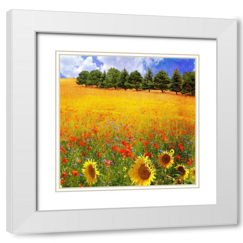 Lombardy II White Modern Wood Framed Art Print with Double Matting by Vest, Chris