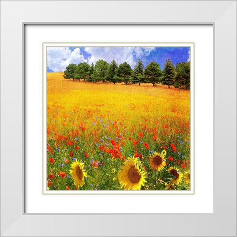 Lombardy II White Modern Wood Framed Art Print with Double Matting by Vest, Chris