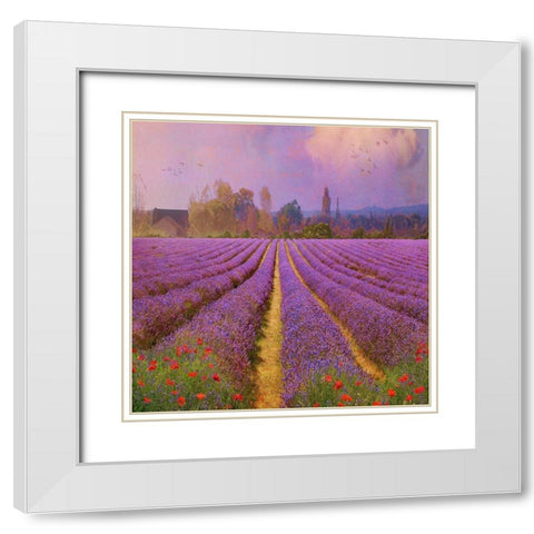 Lavender Fields II White Modern Wood Framed Art Print with Double Matting by Vest, Chris