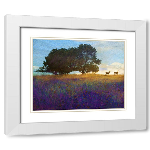 Tree Hill Flowers White Modern Wood Framed Art Print with Double Matting by Vest, Chris