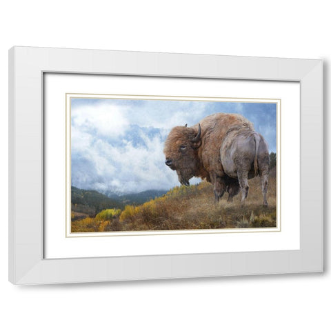 Golden Bison  White Modern Wood Framed Art Print with Double Matting by Vest, Chris