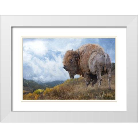 Golden Bison  White Modern Wood Framed Art Print with Double Matting by Vest, Chris