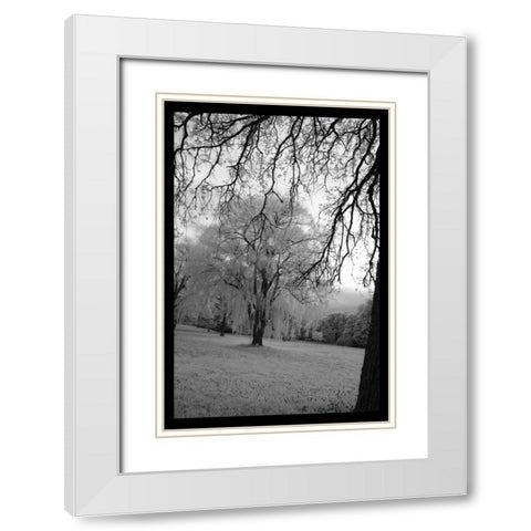 Infra Red Forest I White Modern Wood Framed Art Print with Double Matting by Comfort, David