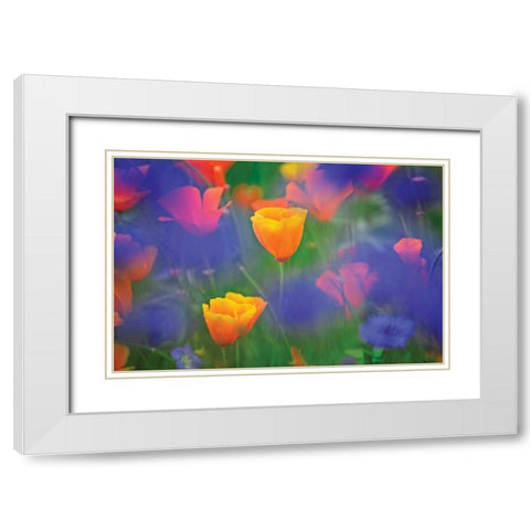 Tulipia White Modern Wood Framed Art Print with Double Matting by Frates, Dennis