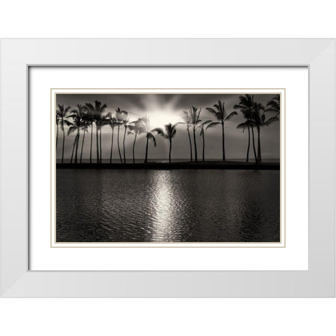 Summer Breezes III White Modern Wood Framed Art Print with Double Matting by Frates, Dennis