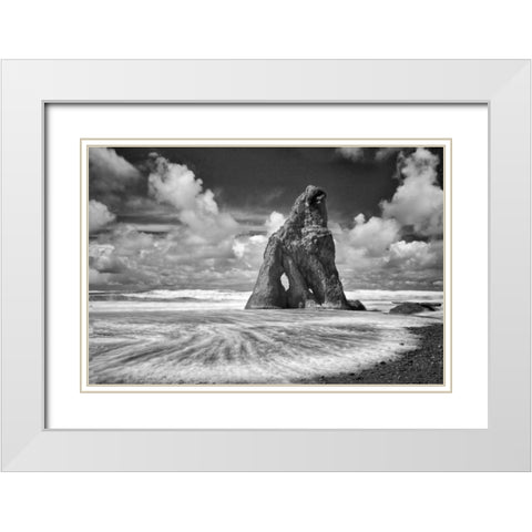 Preservation White Modern Wood Framed Art Print with Double Matting by Frates, Dennis