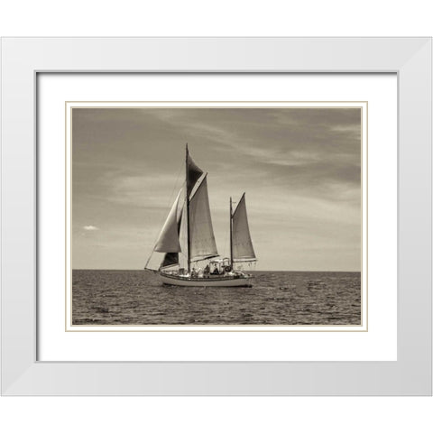 Stature White Modern Wood Framed Art Print with Double Matting by Frates, Dennis
