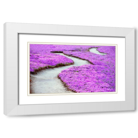 Violet Path White Modern Wood Framed Art Print with Double Matting by Frates, Dennis