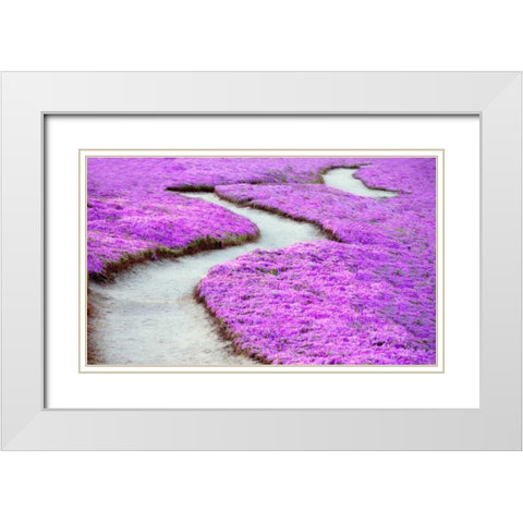 Violet Path White Modern Wood Framed Art Print with Double Matting by Frates, Dennis