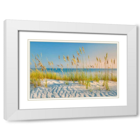 Sea Oats White Modern Wood Framed Art Print with Double Matting by Frates, Dennis