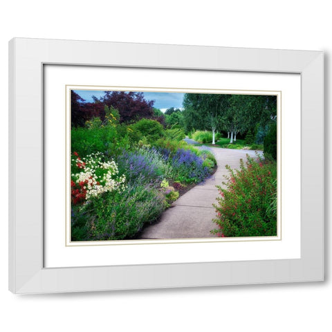 Garden Pathway White Modern Wood Framed Art Print with Double Matting by Frates, Dennis