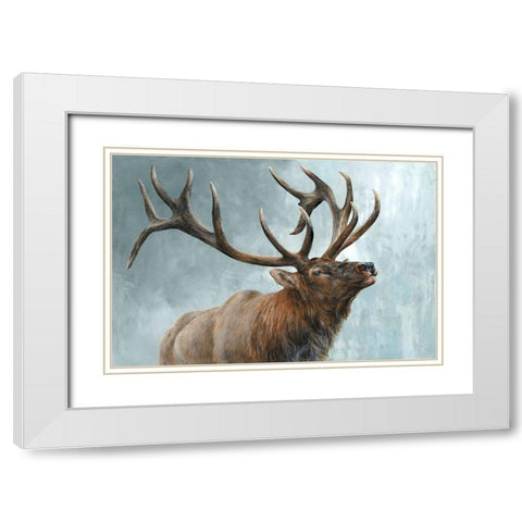 Rising Bull Elk  White Modern Wood Framed Art Print with Double Matting by Perejogina, Dina