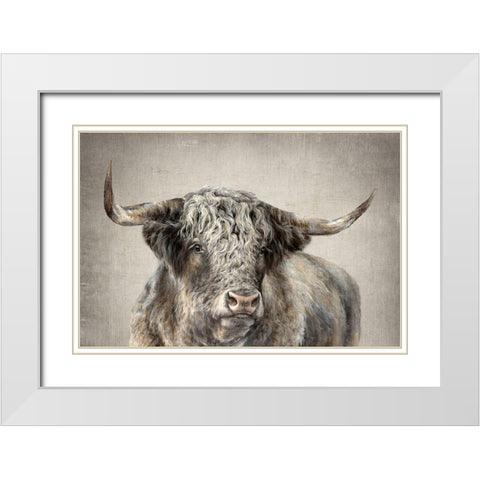 Grand Kyloe Bull  White Modern Wood Framed Art Print with Double Matting by Perejogina, Dina