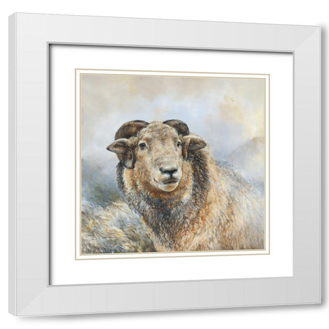 Herdwick Sheep White Modern Wood Framed Art Print with Double Matting by Perejogina, Dina