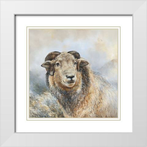 Herdwick Sheep White Modern Wood Framed Art Print with Double Matting by Perejogina, Dina