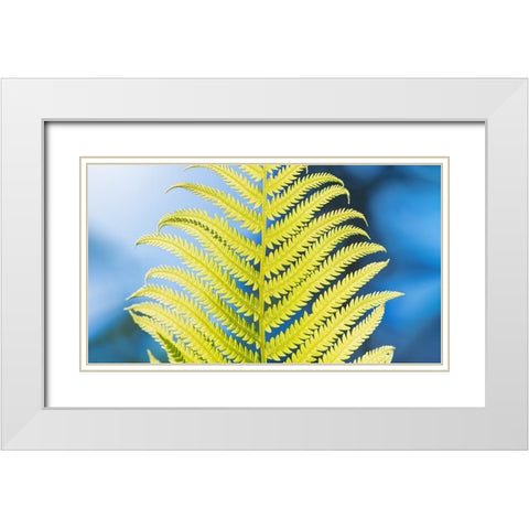 Poise White Modern Wood Framed Art Print with Double Matting by Kirshner, Dmitry