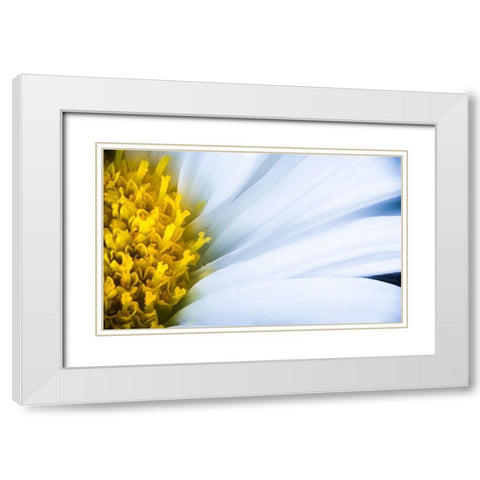 Soft Reach White Modern Wood Framed Art Print with Double Matting by Kirshner, Dmitry