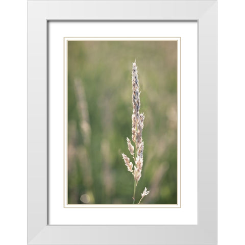 Basking in Summar Sun White Modern Wood Framed Art Print with Double Matting by Kirshner, Dmitry