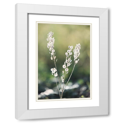 Summer Field White Modern Wood Framed Art Print with Double Matting by Kirshner, Dmitry