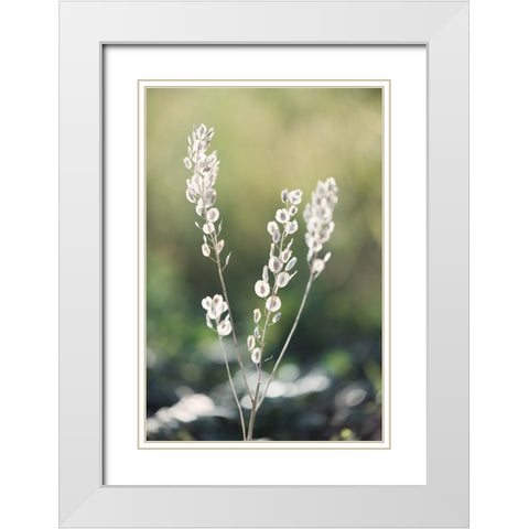 Summer Field White Modern Wood Framed Art Print with Double Matting by Kirshner, Dmitry