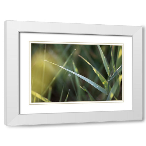 After Summer Rain White Modern Wood Framed Art Print with Double Matting by Kirshner, Dmitry