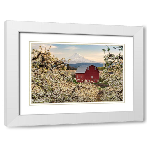 Fairytale Barn White Modern Wood Framed Art Print with Double Matting by Daultich, Nick