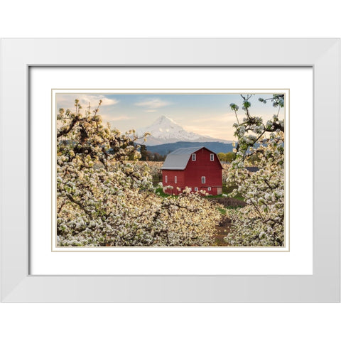 Fairytale Barn White Modern Wood Framed Art Print with Double Matting by Daultich, Nick