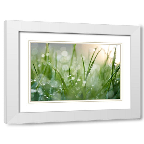 After The Rain  White Modern Wood Framed Art Print with Double Matting by Daultich, Nick