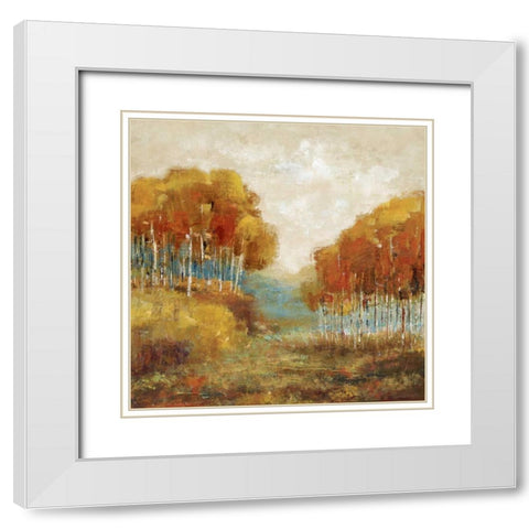 Weathered Scape II White Modern Wood Framed Art Print with Double Matting by Dolce, Carmen