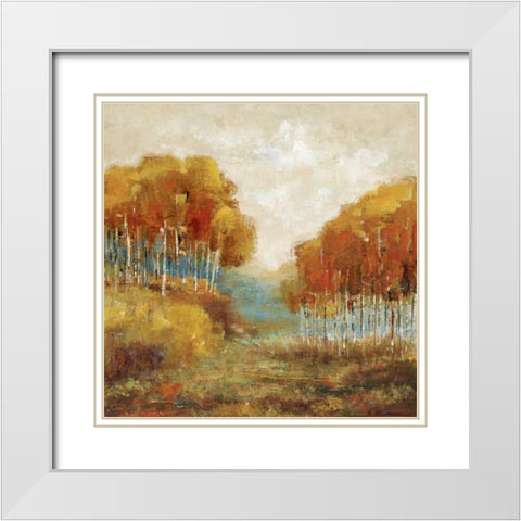 Weathered Scape II White Modern Wood Framed Art Print with Double Matting by Dolce, Carmen