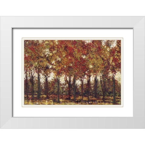 Bordeaux Trees White Modern Wood Framed Art Print with Double Matting by Dolce, Carmen