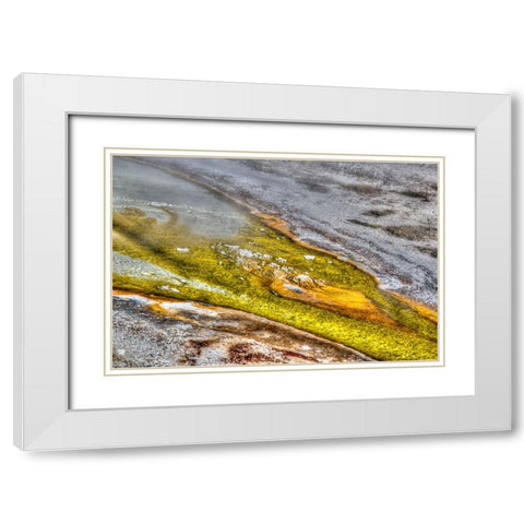 Bacteria I White Modern Wood Framed Art Print with Double Matting by Dulius, Peter
