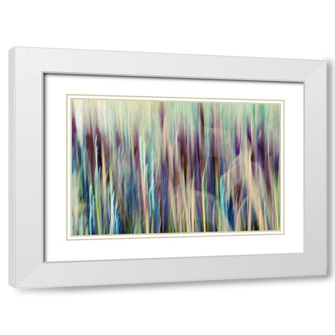 Colors of Canada I White Modern Wood Framed Art Print with Double Matting by SD Enterprises