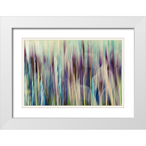 Colors of Canada I White Modern Wood Framed Art Print with Double Matting by SD Enterprises