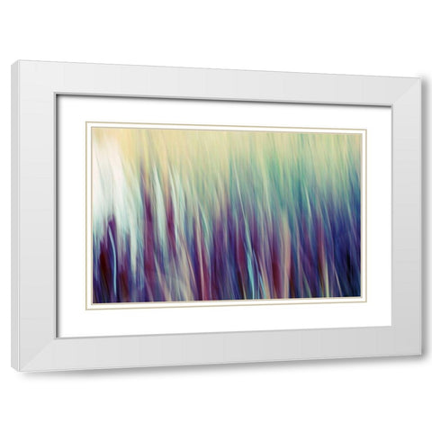 Colors of Canada II White Modern Wood Framed Art Print with Double Matting by SD Enterprises