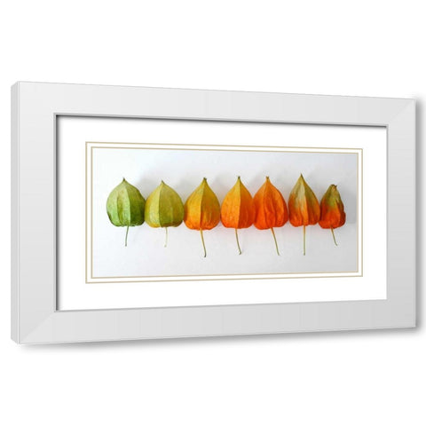 Chinese Lanterns III White Modern Wood Framed Art Print with Double Matting by Savogne, Daniela