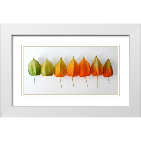 Chinese Lanterns III White Modern Wood Framed Art Print with Double Matting by Savogne, Daniela