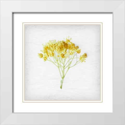 Meditative Yellow White Modern Wood Framed Art Print with Double Matting by Savone, Daniela