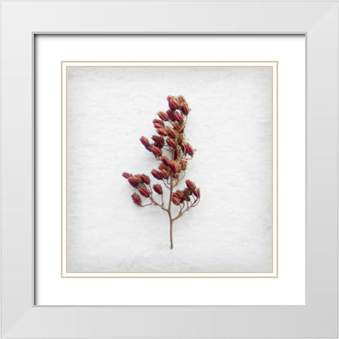 Mediterranean Shade White Modern Wood Framed Art Print with Double Matting by Savogne, Daniela