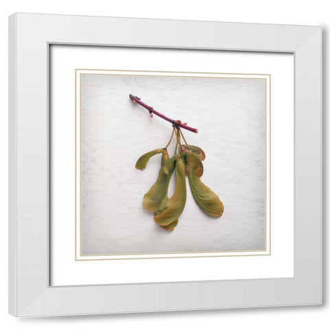 Sweet Dimensionality White Modern Wood Framed Art Print with Double Matting by Savogne, Daniela