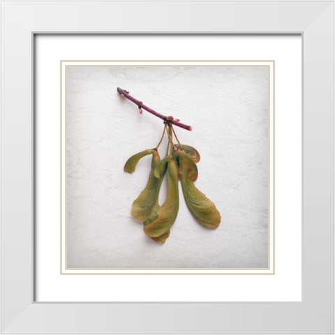 Sweet Dimensionality White Modern Wood Framed Art Print with Double Matting by Savogne, Daniela