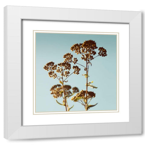 First Breath White Modern Wood Framed Art Print with Double Matting by Savogne, Daniela