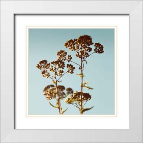 First Breath White Modern Wood Framed Art Print with Double Matting by Savogne, Daniela
