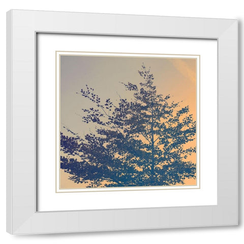 Tree Haze White Modern Wood Framed Art Print with Double Matting by Savone, Daniela