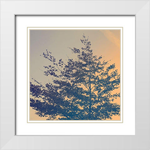 Tree Haze White Modern Wood Framed Art Print with Double Matting by Savone, Daniela