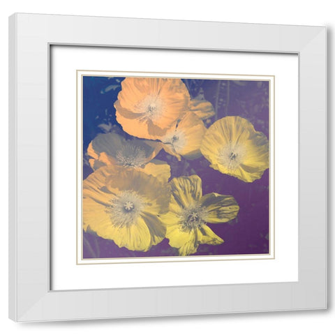 Flower Haze I White Modern Wood Framed Art Print with Double Matting by Savone, Daniela